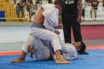 IMG 7159