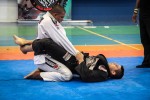 IMG 7188
