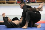 IMG 7193