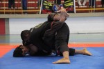 IMG 7195